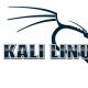 Установка Kali в качестве дополнительной операционной системы на компьютер с Windows