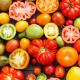 Odakle dolazi paradajz i zašto se tako zove?