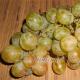 How to dry grapes in different ways at home How to dry raisins at home