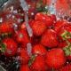 The truth about the benefits of strawberries for the human body and what harm they can cause