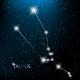 What is the name of the largest constellation in the Western zodiac?