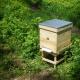 How to make a beehive for your own bees